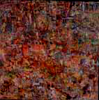 I watched the coast